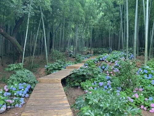 竹林小区新闻爆料最新,业主抗议物业，真相背后引关注  第2张